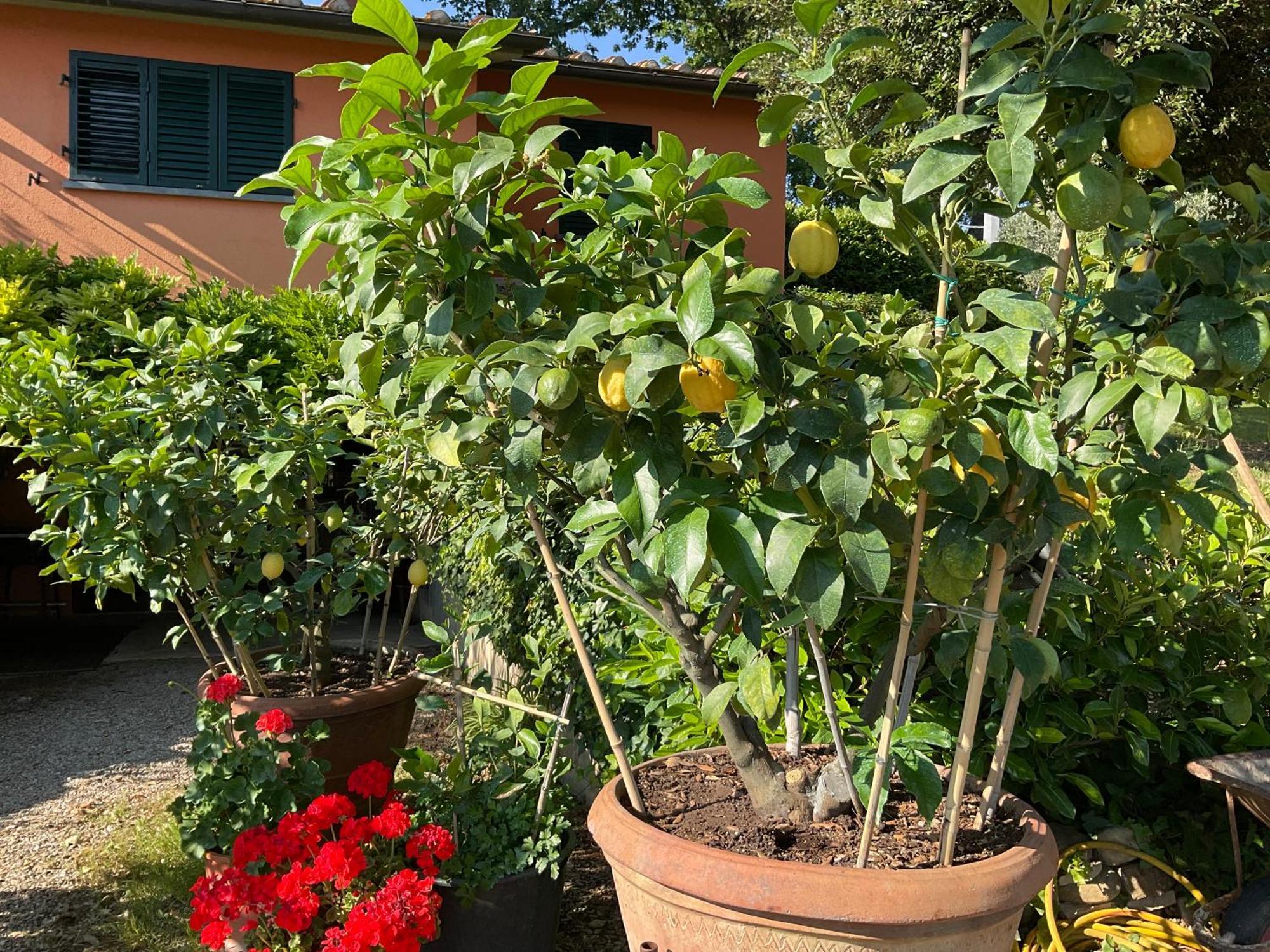 Casa Vacanza Il Borraccio Holiday home